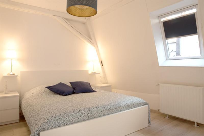 Petite Venise Grand Duplex Turenne Hyper Centre Colmar Exteriör bild